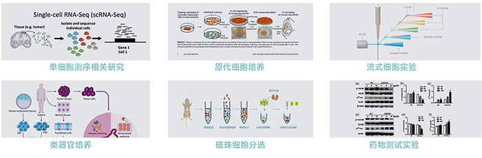 1773136777150187.jpg JX-CKSW系列产品应用-700.jpg